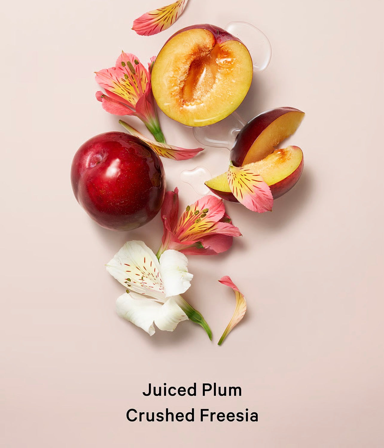 Pure Seduction - Splash VS