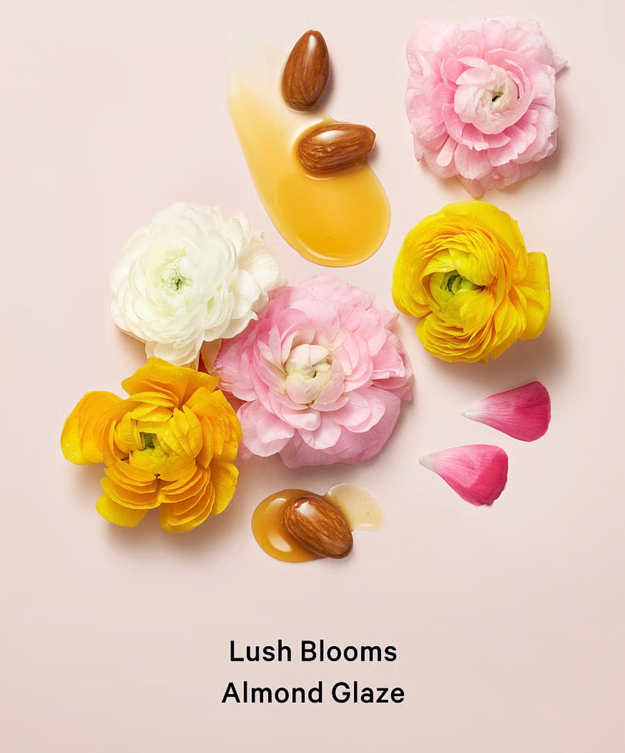 Velvet Petals - Crema VS
